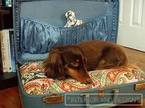 Casa de perro из чемодана