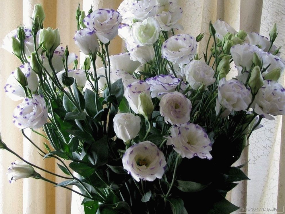Bouquet de eustomas blancas.